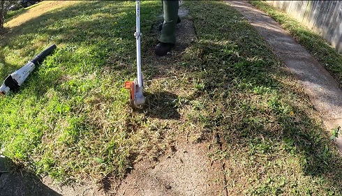 お庭きれいにしよう03