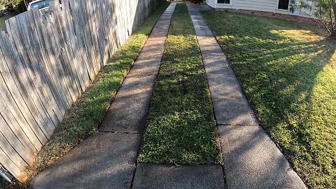 お庭きれいにしよう04