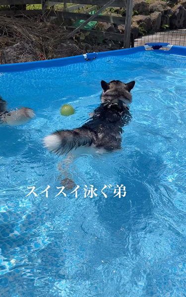 おすすめ