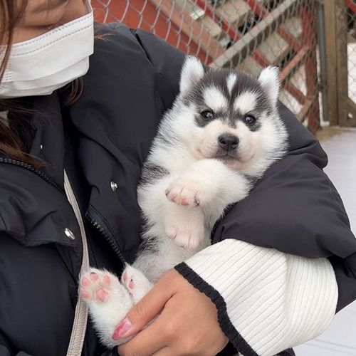 小さいころのヴァルくん