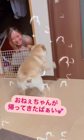 踊ってるようなワンコ