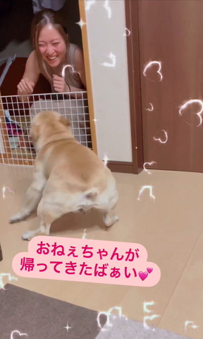 ワンコ見て笑顔のお姉ちゃん