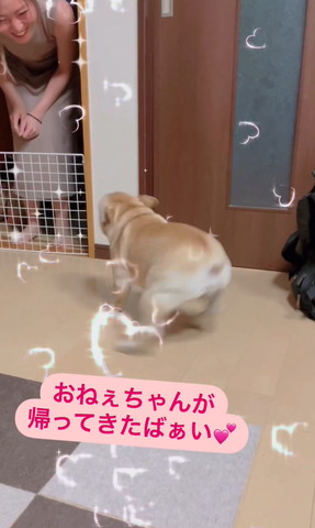 フレブルのお尻