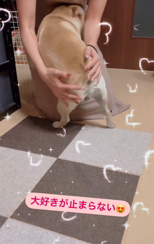 抱きしめられてるワンコ