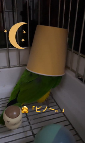 ピノテロップ