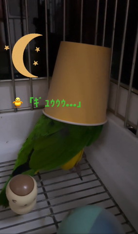 ギュゥゥテロップ