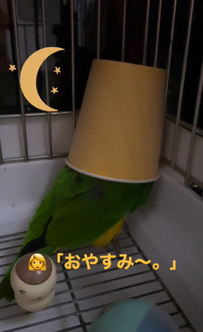 おやすみテロップ