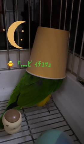 ピイチュテロップ