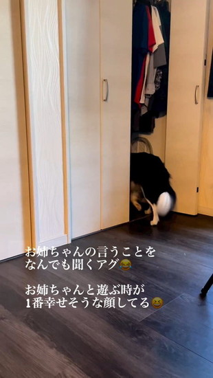 おすすめ