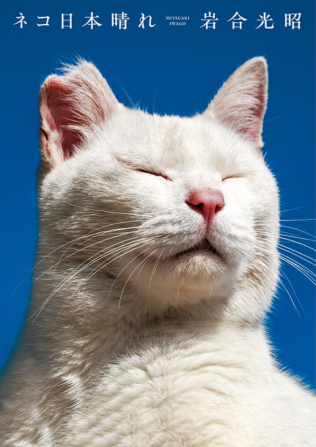 ネコ日本晴れ