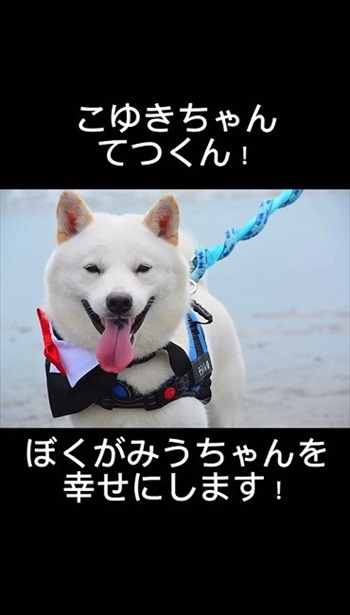 妹犬が彼氏を連れて里帰り