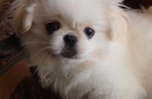 ムーチョくんの口元アップ