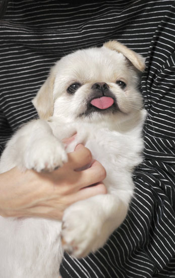 リラックスするムーチョくん