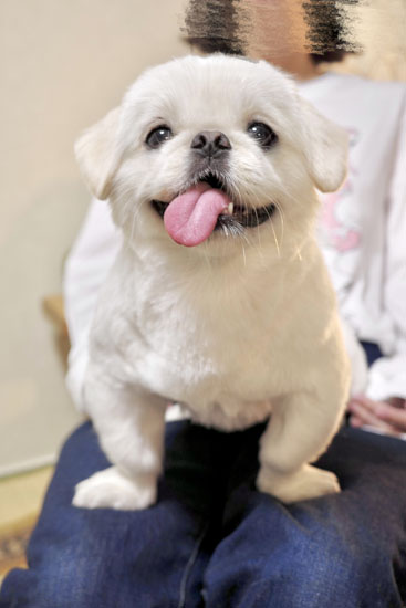 笑顔のムーチョくん