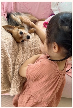 上原さくらの娘と愛犬