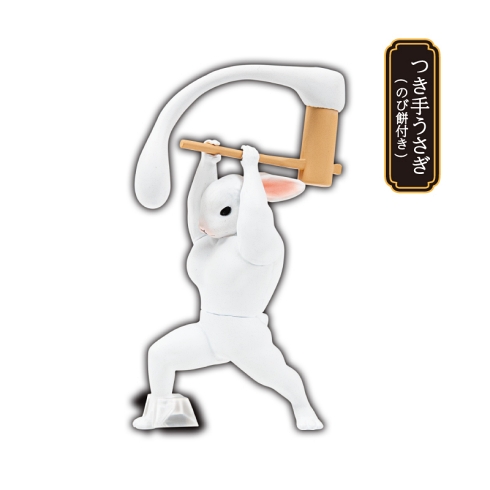 うさぎ 満月 筋肉