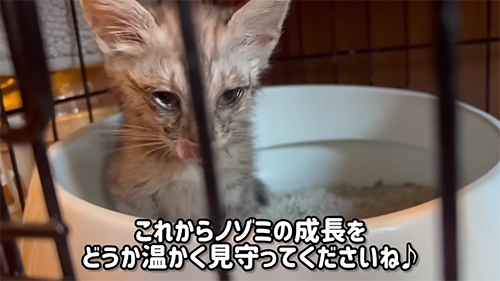 見守ってください