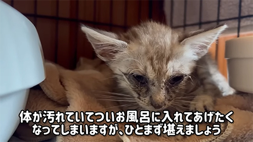 体が汚れていて