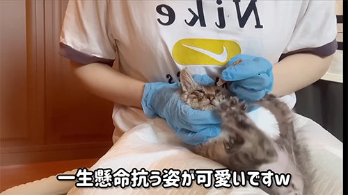 目薬にあらがう