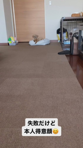 「失敗だけど本人得意顔」