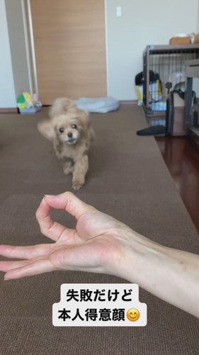 「失敗だけど本人得意顔」