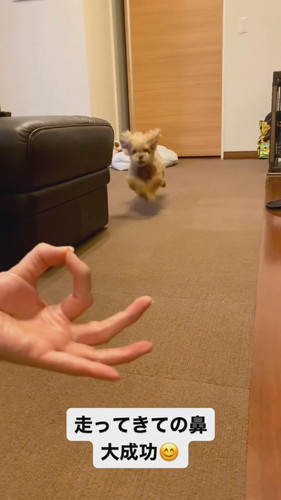 鼻ズボ大成功！