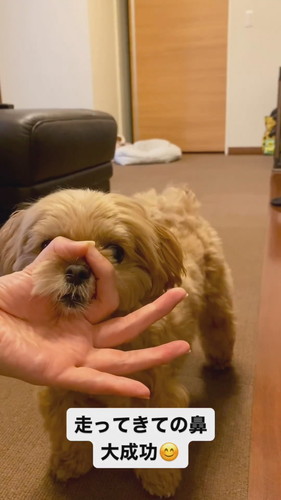 鼻ズボ大成功！