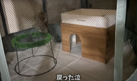 戻ったテロップ