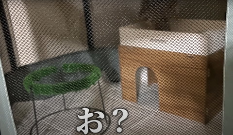 お？テロップ