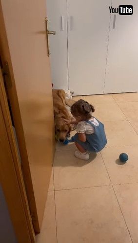 すぐになでなで