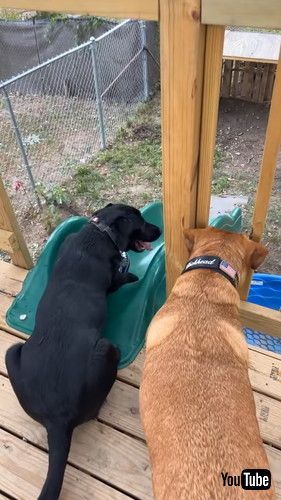 滑り台から落として