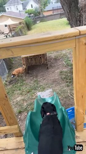 取りに行きます