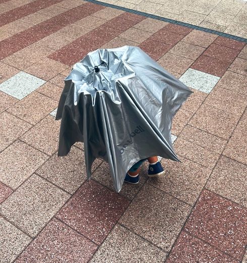 息子　傘　カヌレ