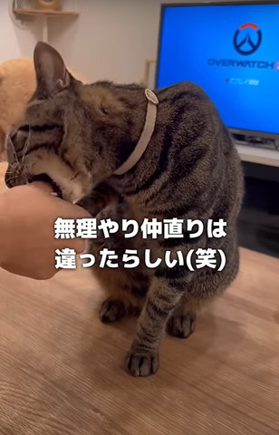 無理やり仲直りは違ったらしいテロップ