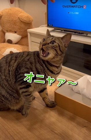 オニャァ〜テロップ