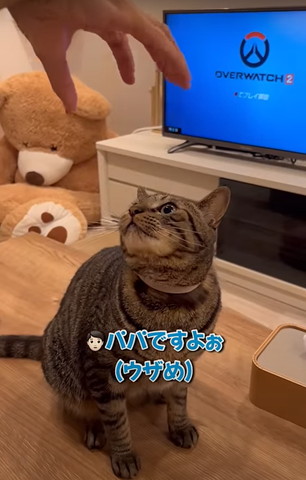 パパですよぉテロップ