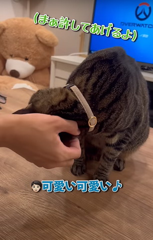 まぁ許してあげるよテロップ