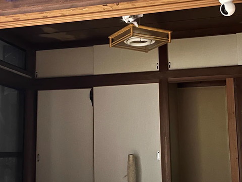 長押から見てる猫