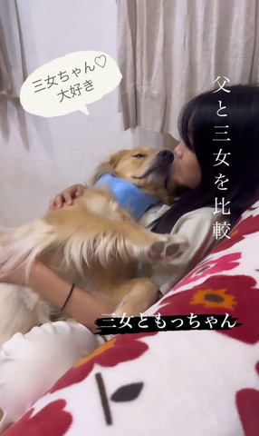 前足伸ばして甘えるワンコ