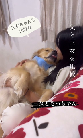 舌出して甘えるワンコ