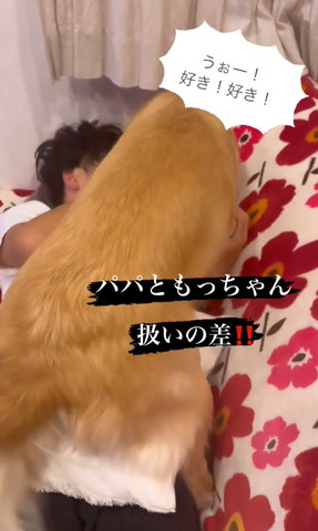 パパさんの頭横とワンコ