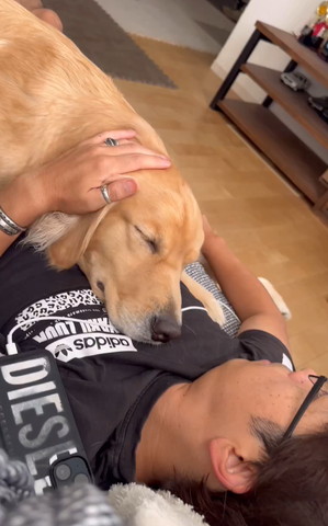 パパさんの胸で甘えるワンコ