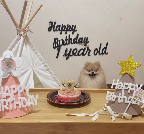 誕生日ワンコ