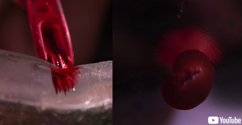 タトゥーを入れる瞬間の映像