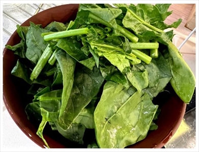 北斗晶の義娘・凛のブログ