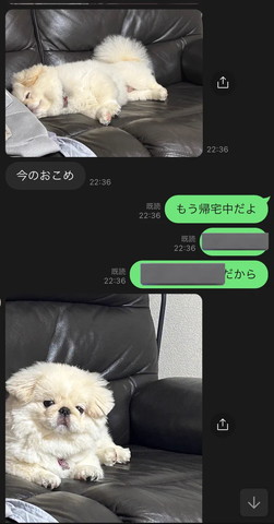 今のおこめメッセージLINE