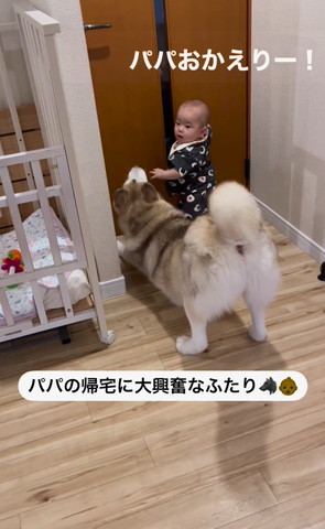 のびてるワンコ