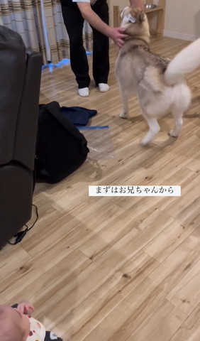 まずはお兄ちゃんからテロップ