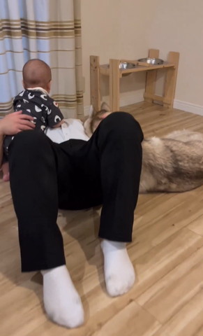 パパに寄り添うワンコ