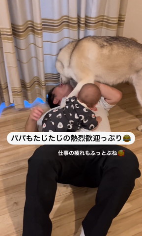 パパもたじたじテロップ